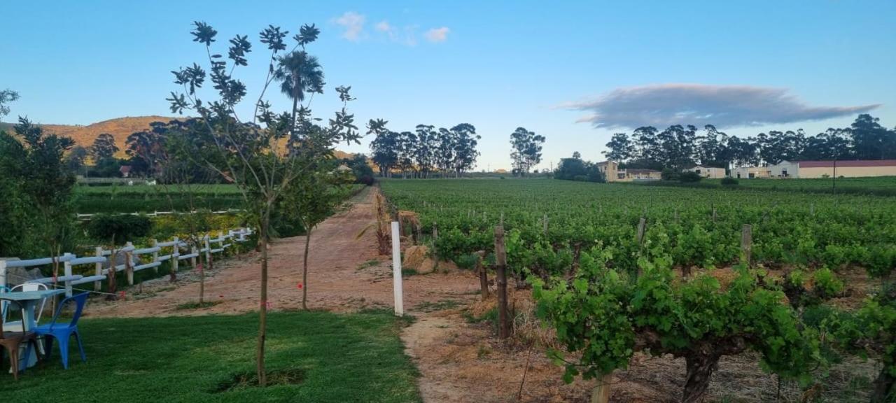 Middelplaas Paarl Guesthouse Ngoại thất bức ảnh