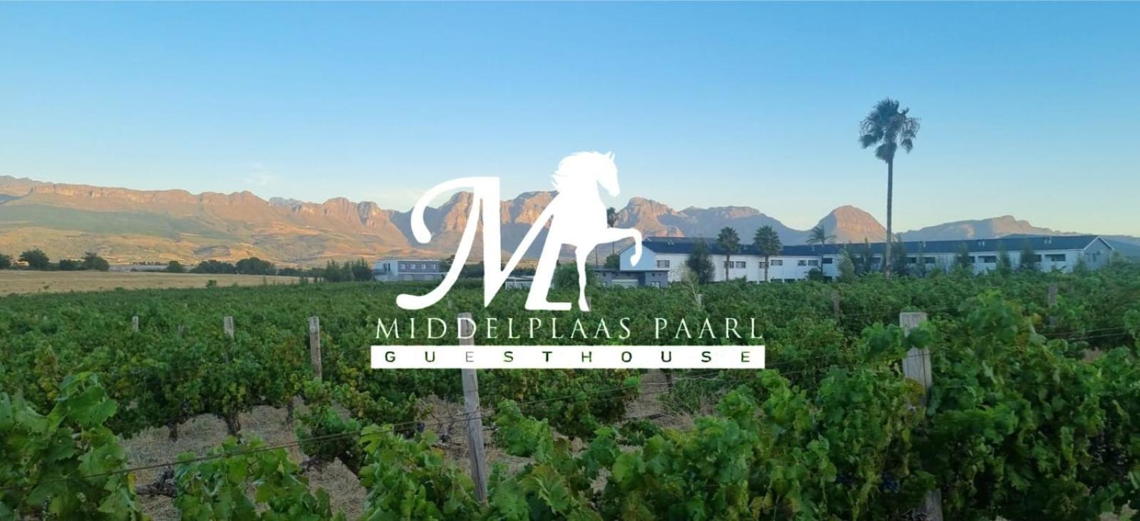 Middelplaas Paarl Guesthouse Ngoại thất bức ảnh