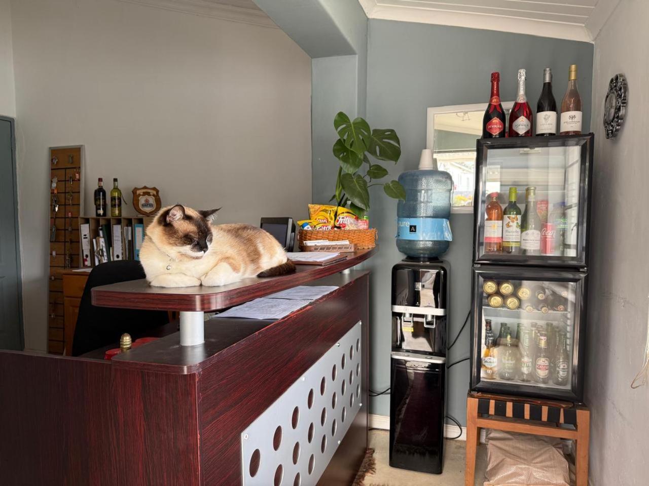 Middelplaas Paarl Guesthouse Ngoại thất bức ảnh